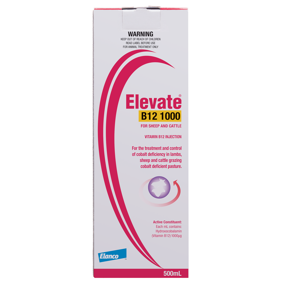 Elevate B12 1000 Plain 500ml