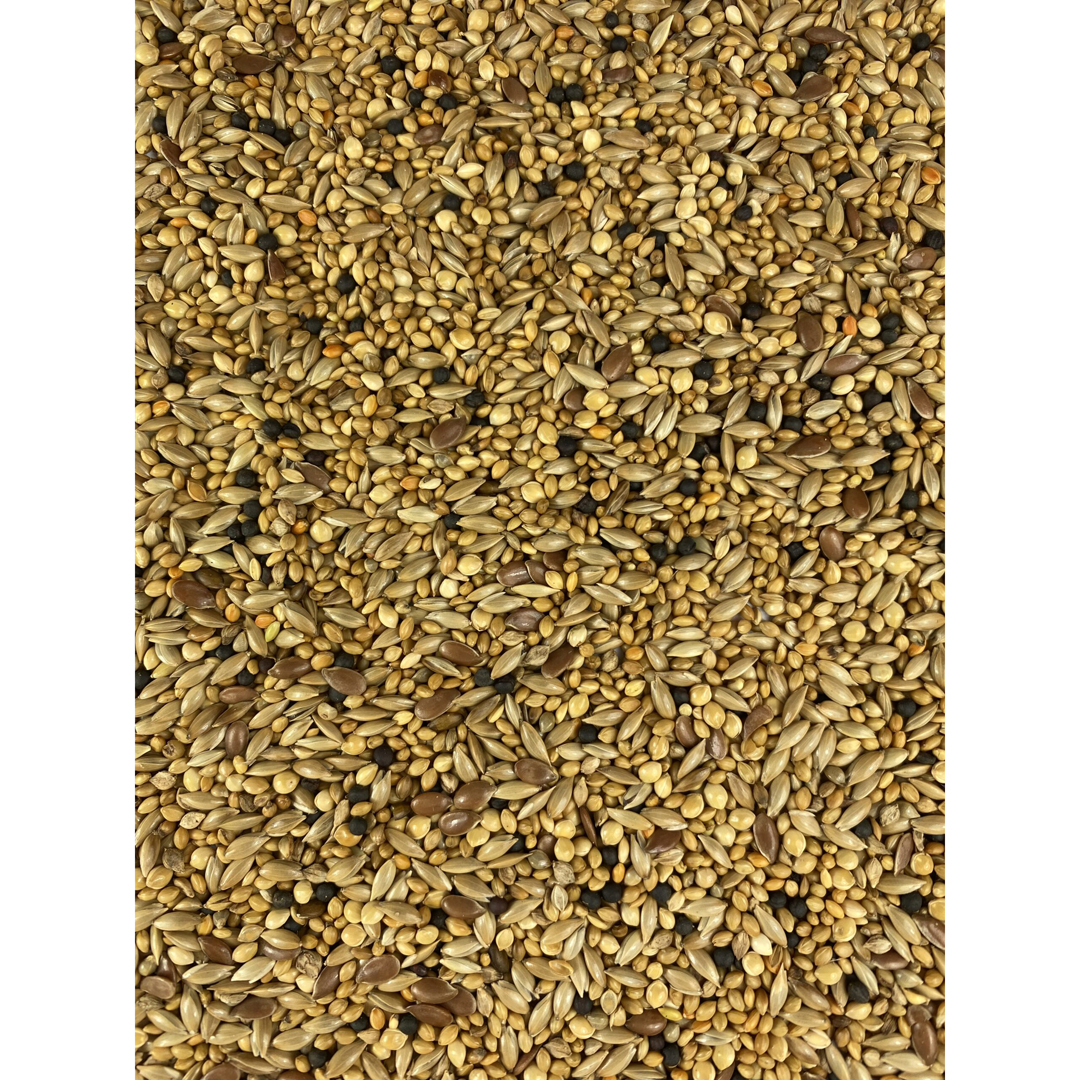 Topflite Finch Mix 10kg