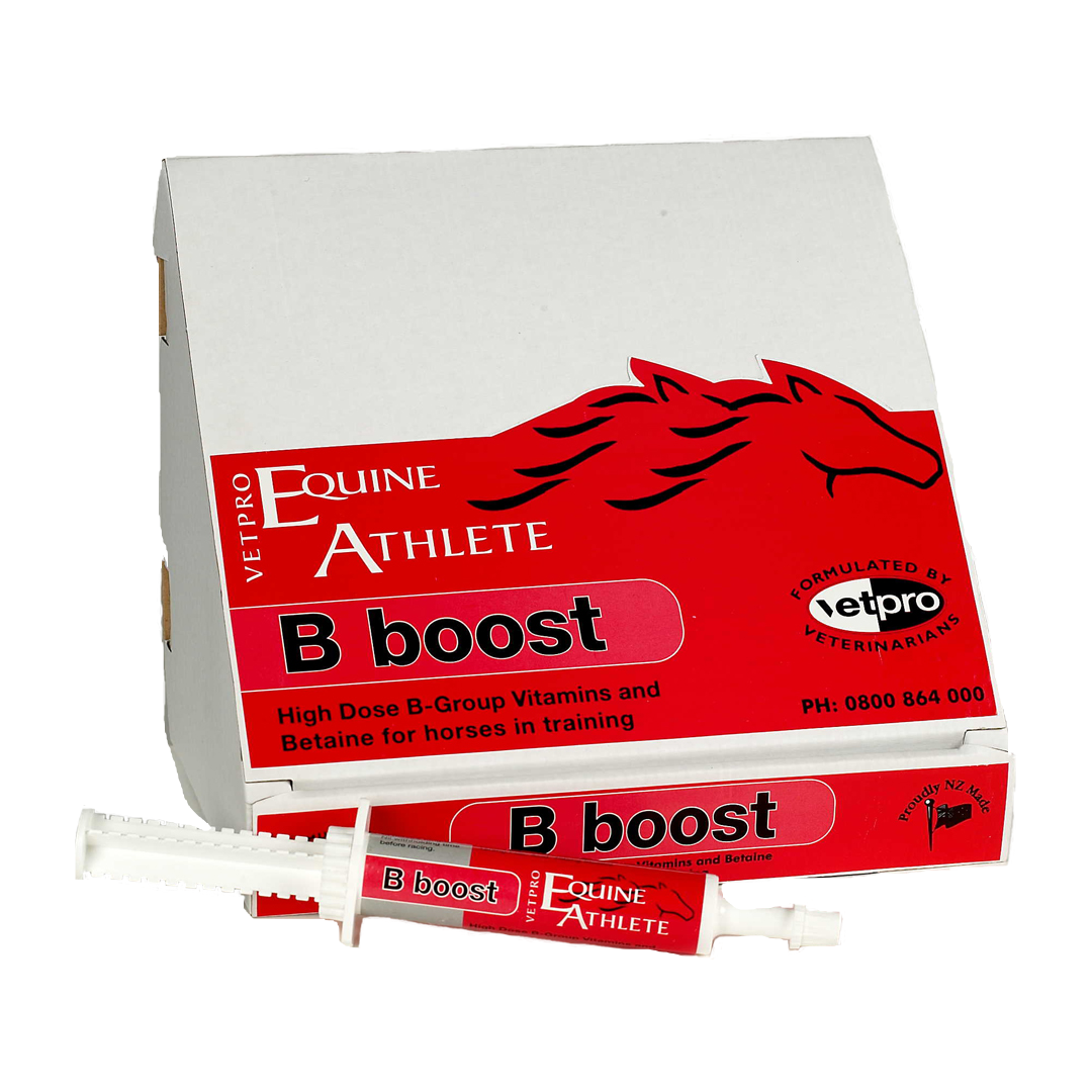 Vetpro B Boost Tube 30ml