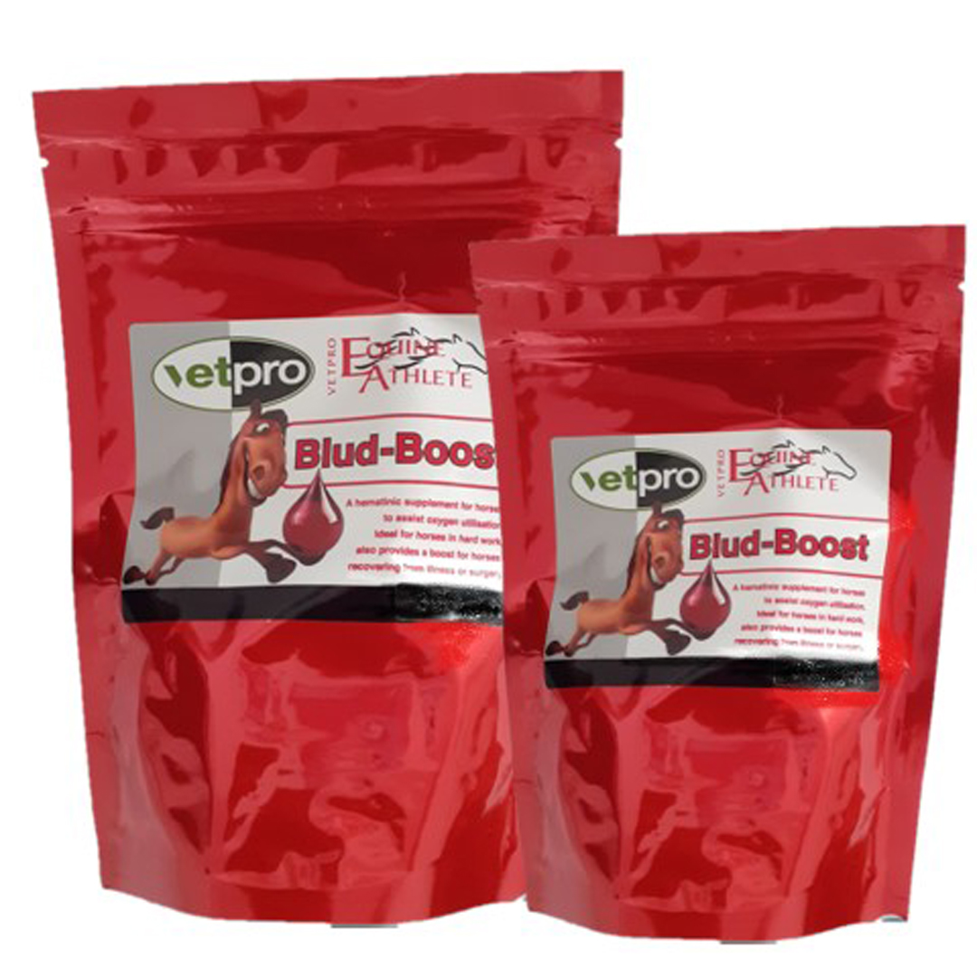 Vetpro Equine Blud-Boost 1kg