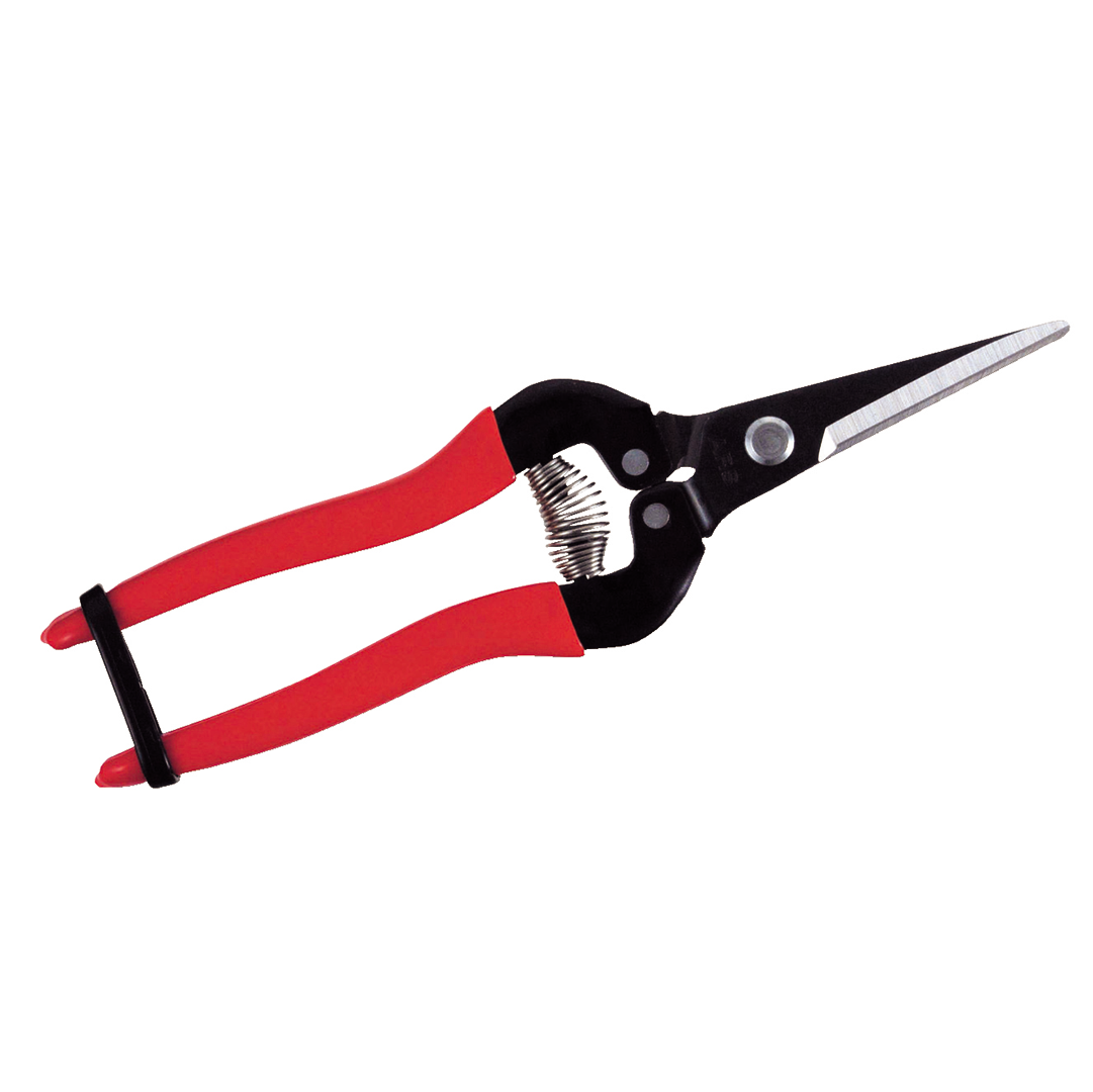 ARS Fruit Snips Long Nose 300L