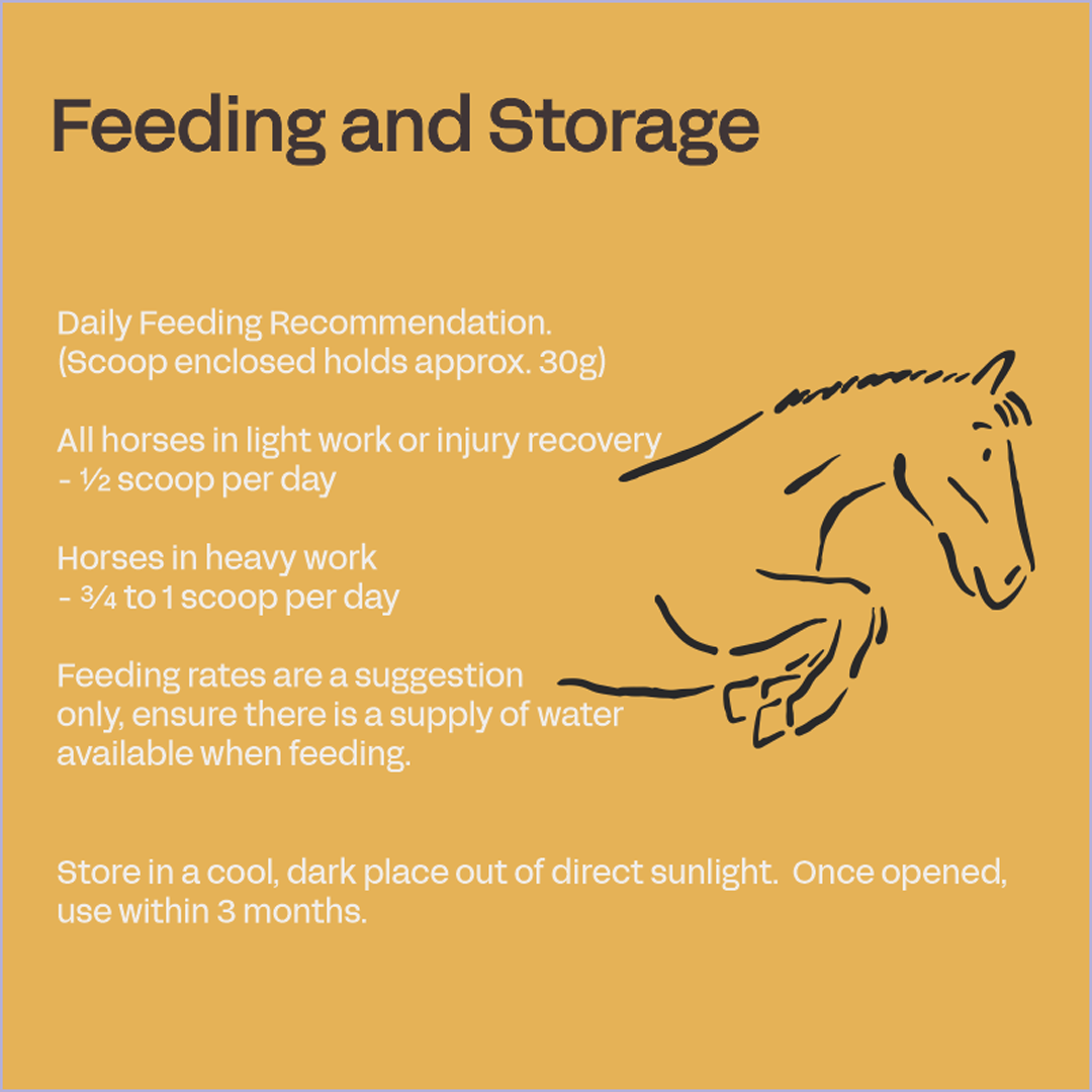 Fourflax Equine Bone & Joint Powder 500g