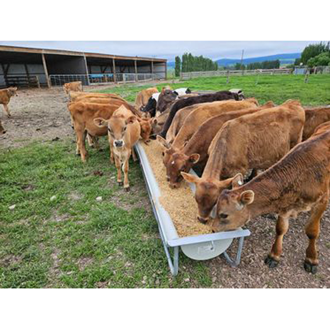 Advantage Plastics Meal Trough on Skids 60L