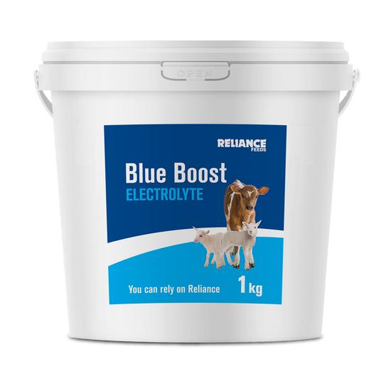 Reliance Blue Boost Electrolyte 1kg