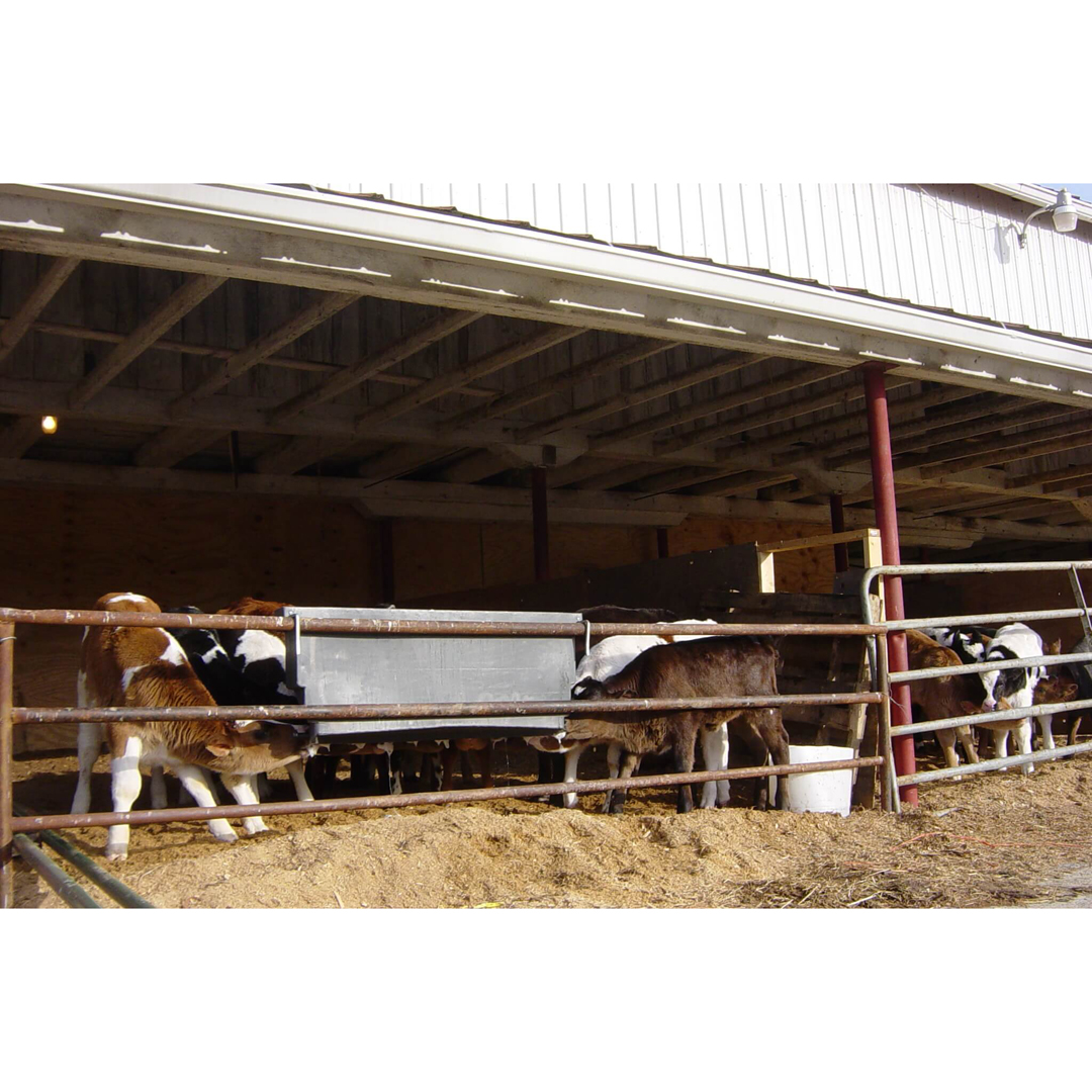 Milk Bar Calf Feeder 12