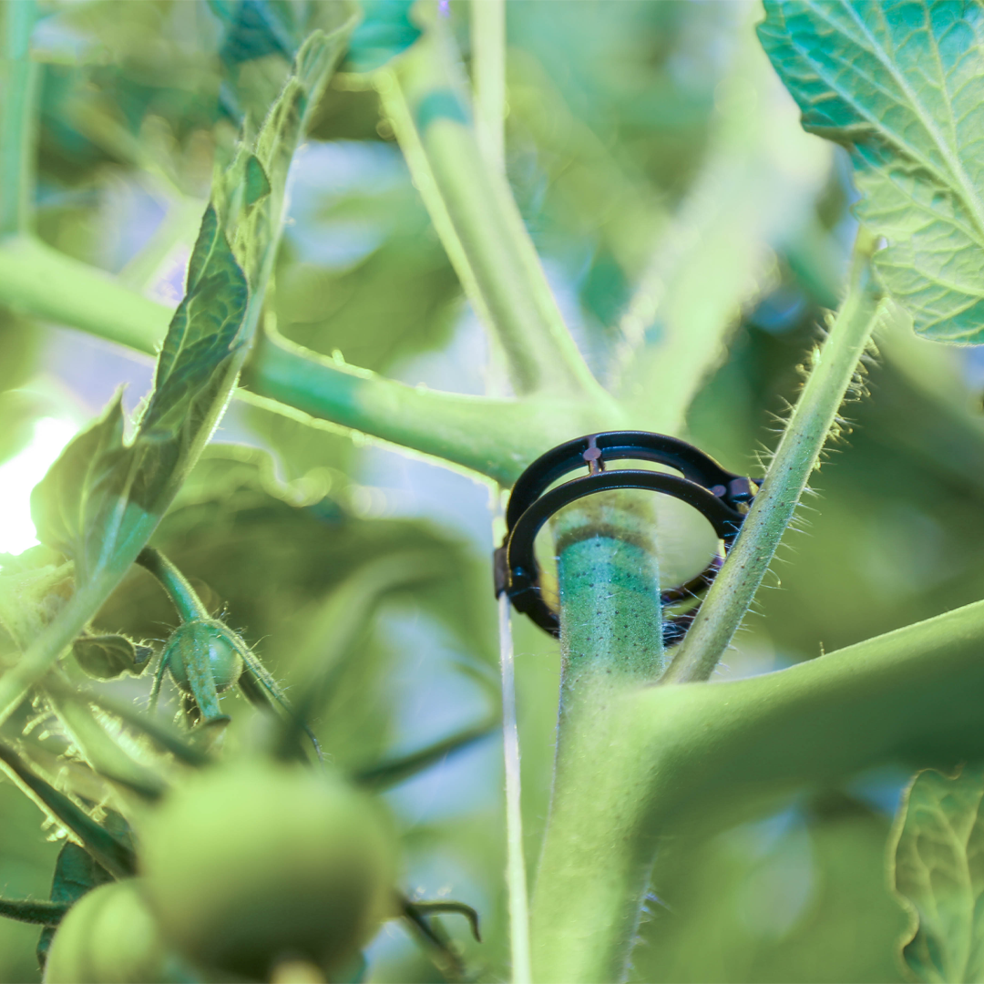 Araymond Easyclip Polypropylene 23mm 13000pkt BK