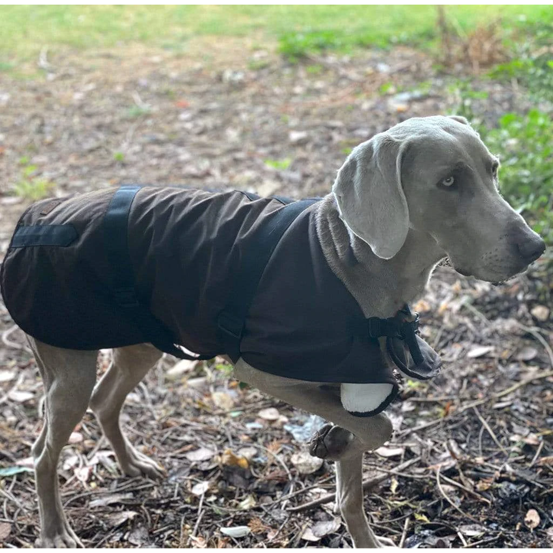 Outback Clancy Oilskin Dog Coat