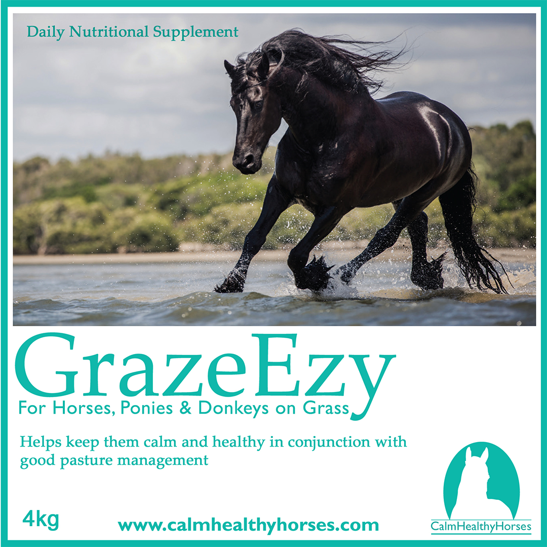 CHH Graze Ezy 4kg