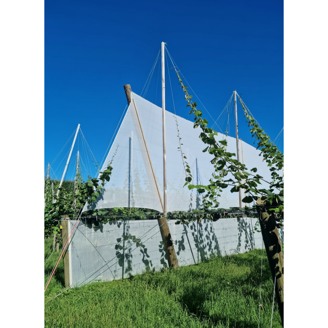Empak Kiwi Twine 4680m Green