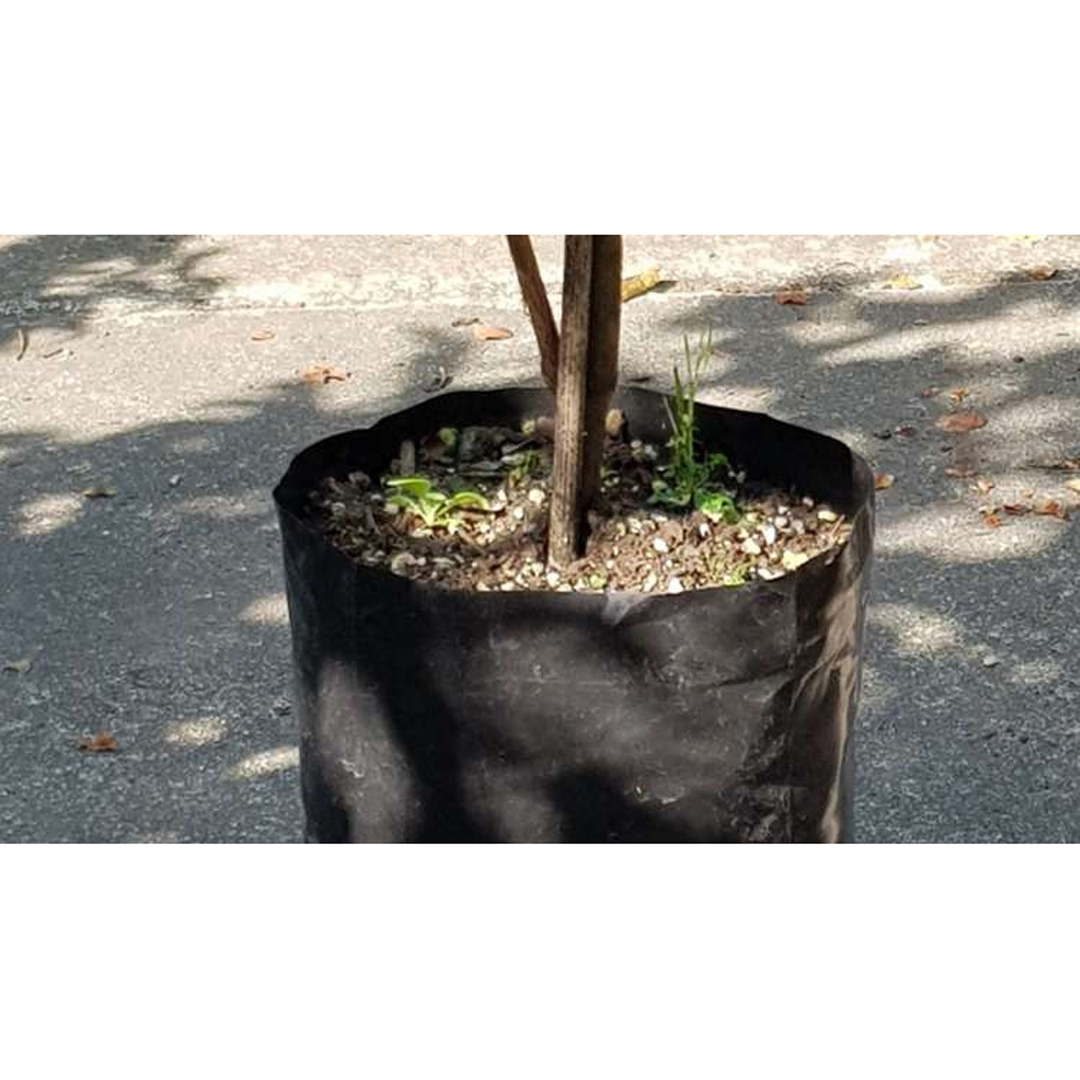 Planter Bags PB12 100 Packet