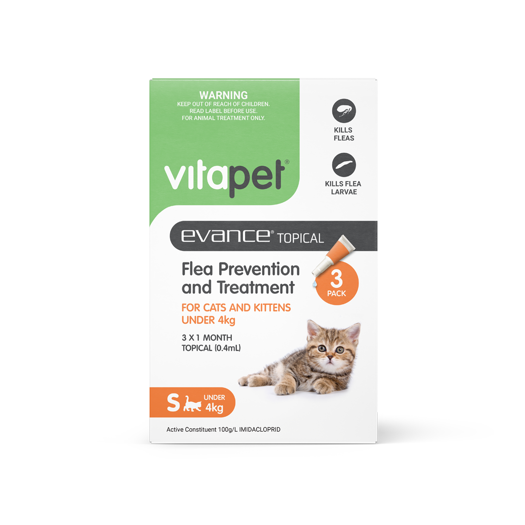 Evance Flea Prevention & Treatment Cat Under 4kg