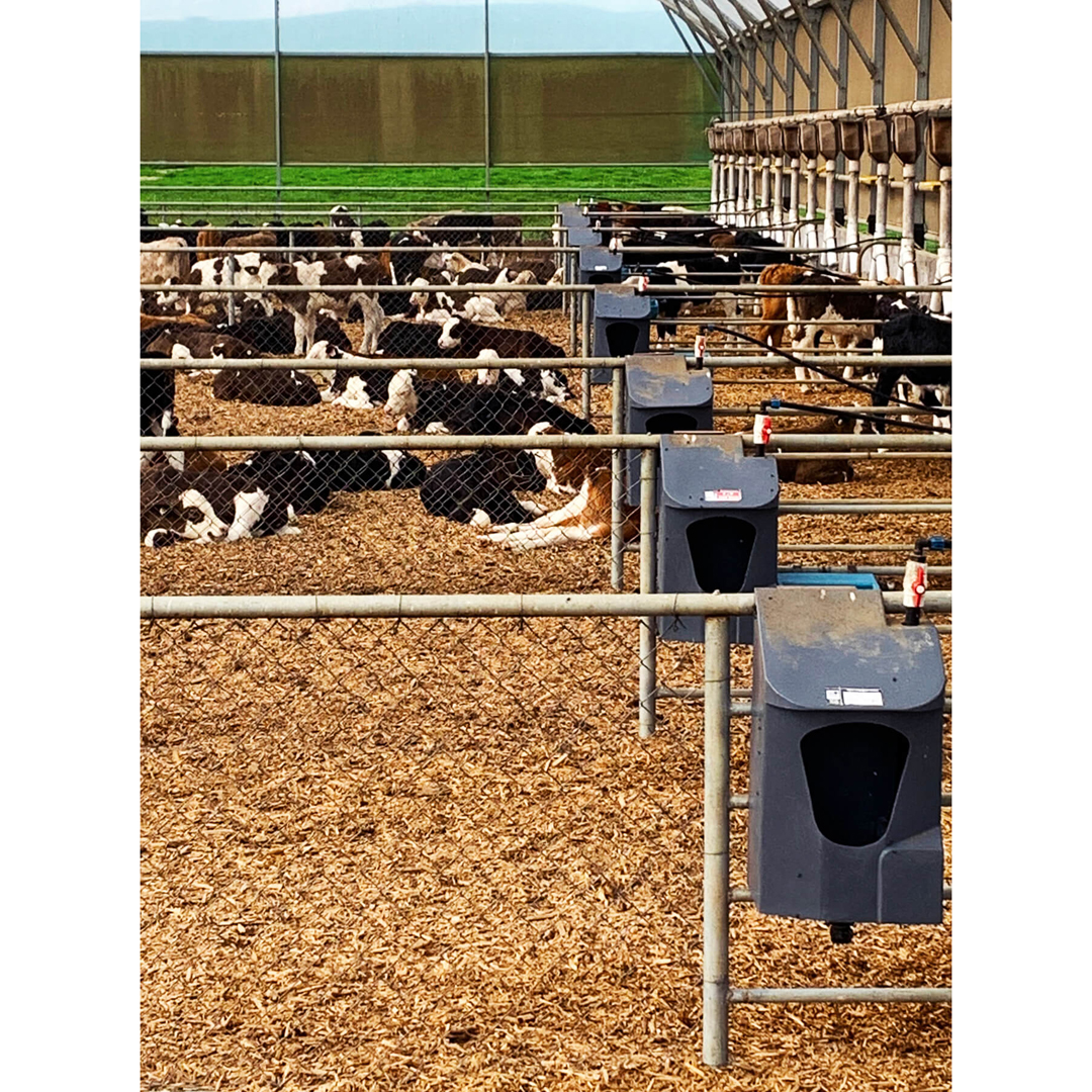 Milk Bar Pen Waterer