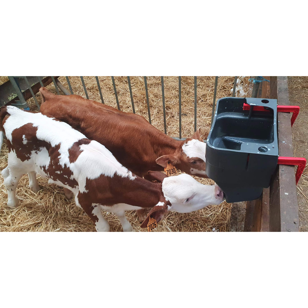 Milk Bar Calf Feeder 2 Compartment