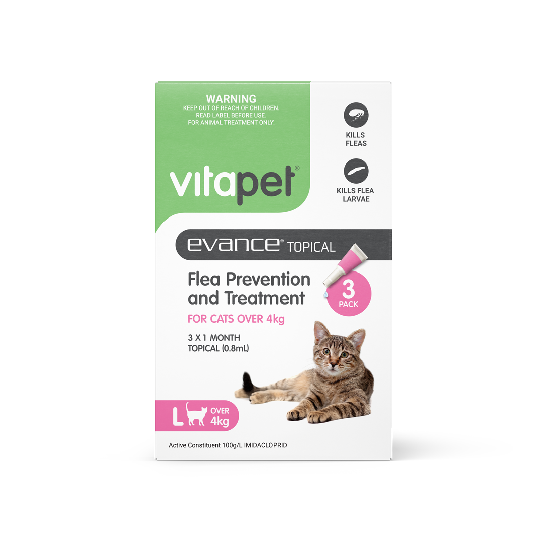 Evance Flea Prevention & Treatment Cat Over 4kg