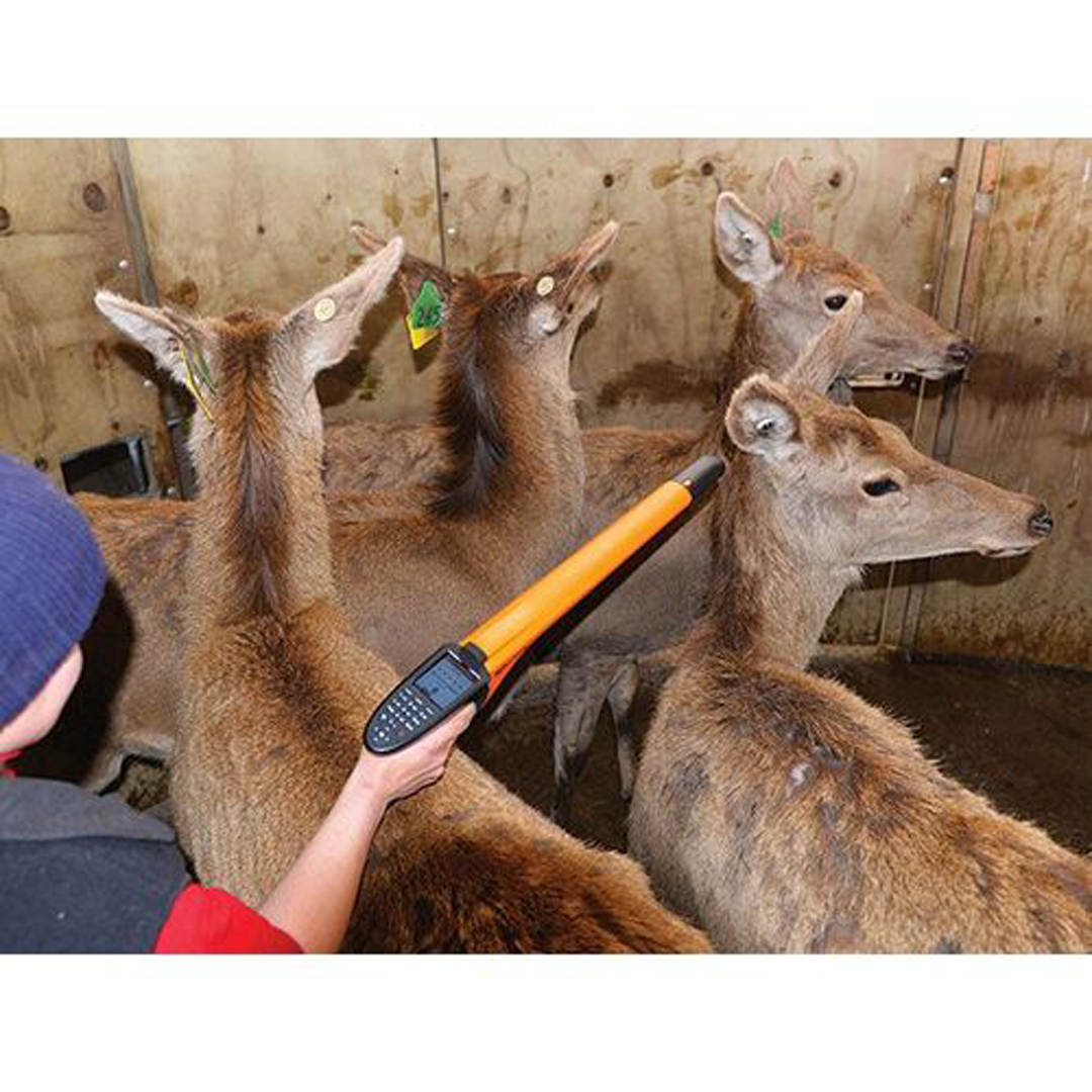 Gallagher Hand Held EID Tag Reader HR5