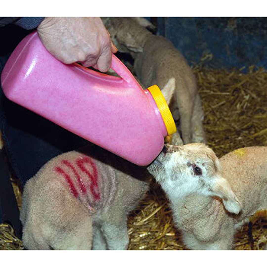 McInnes Milk Bar Lamb Kid Bottle