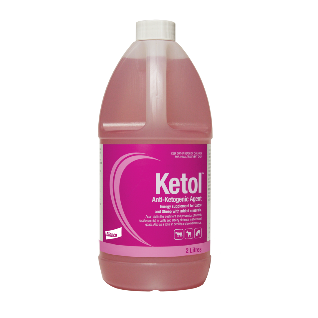 Ketol 2L