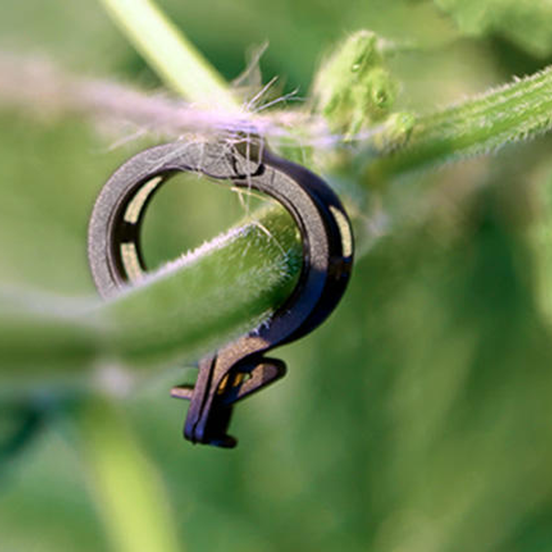 Araymond Easyclip Polypropylene 14mm 17000pkt BK