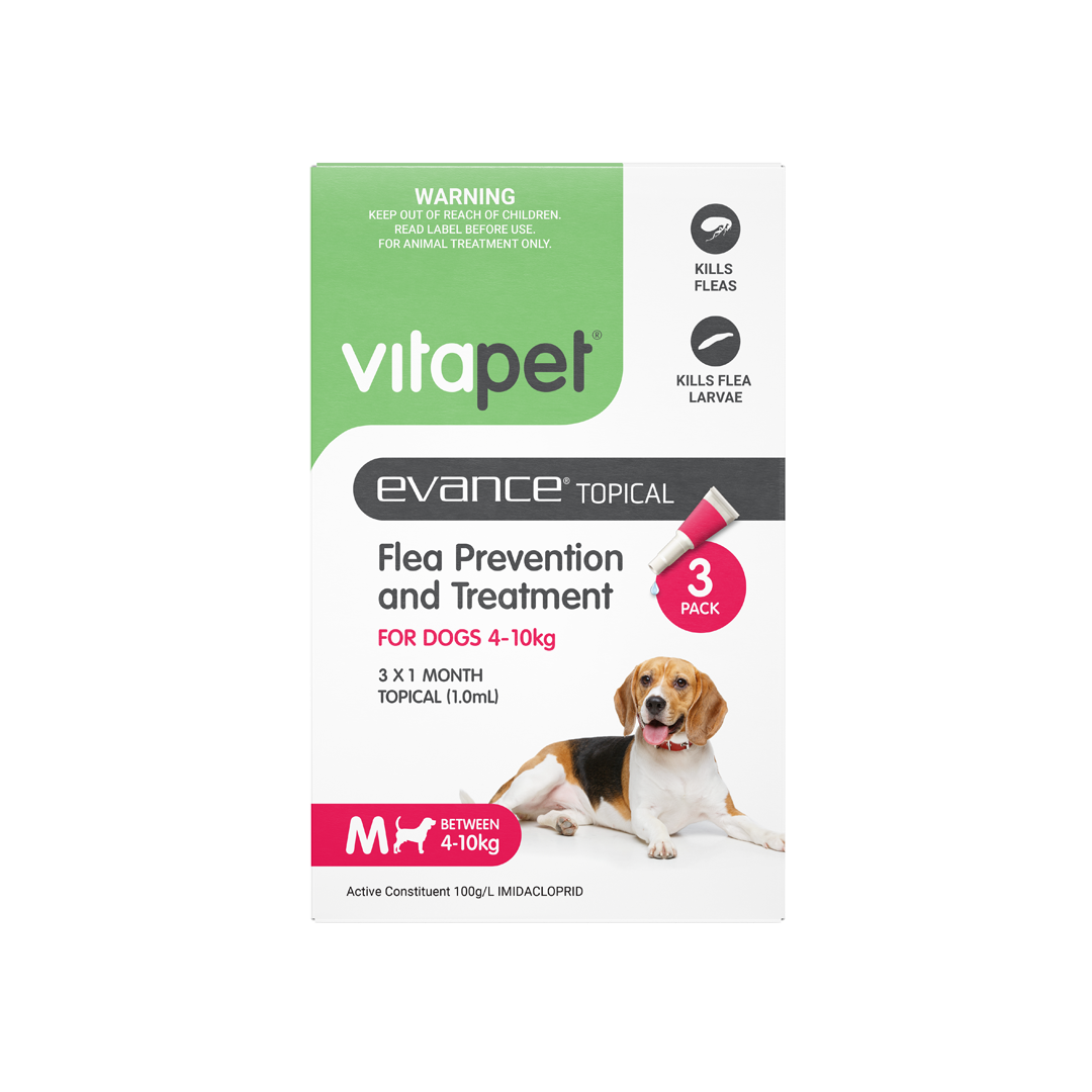 Evance Flea Prevention & Treatment Dog 4 To 10kg