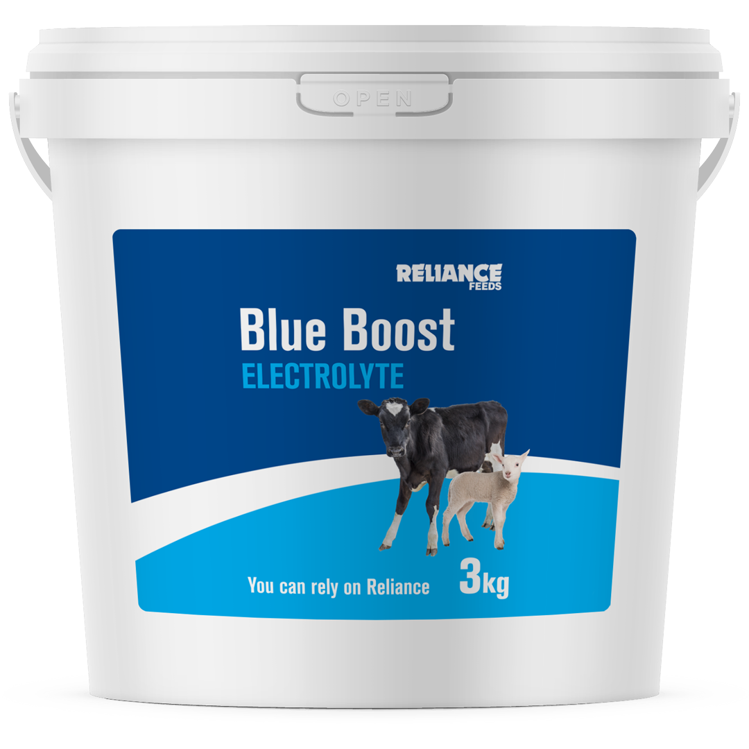 Reliance Blue Boost Electrolyte 3kg