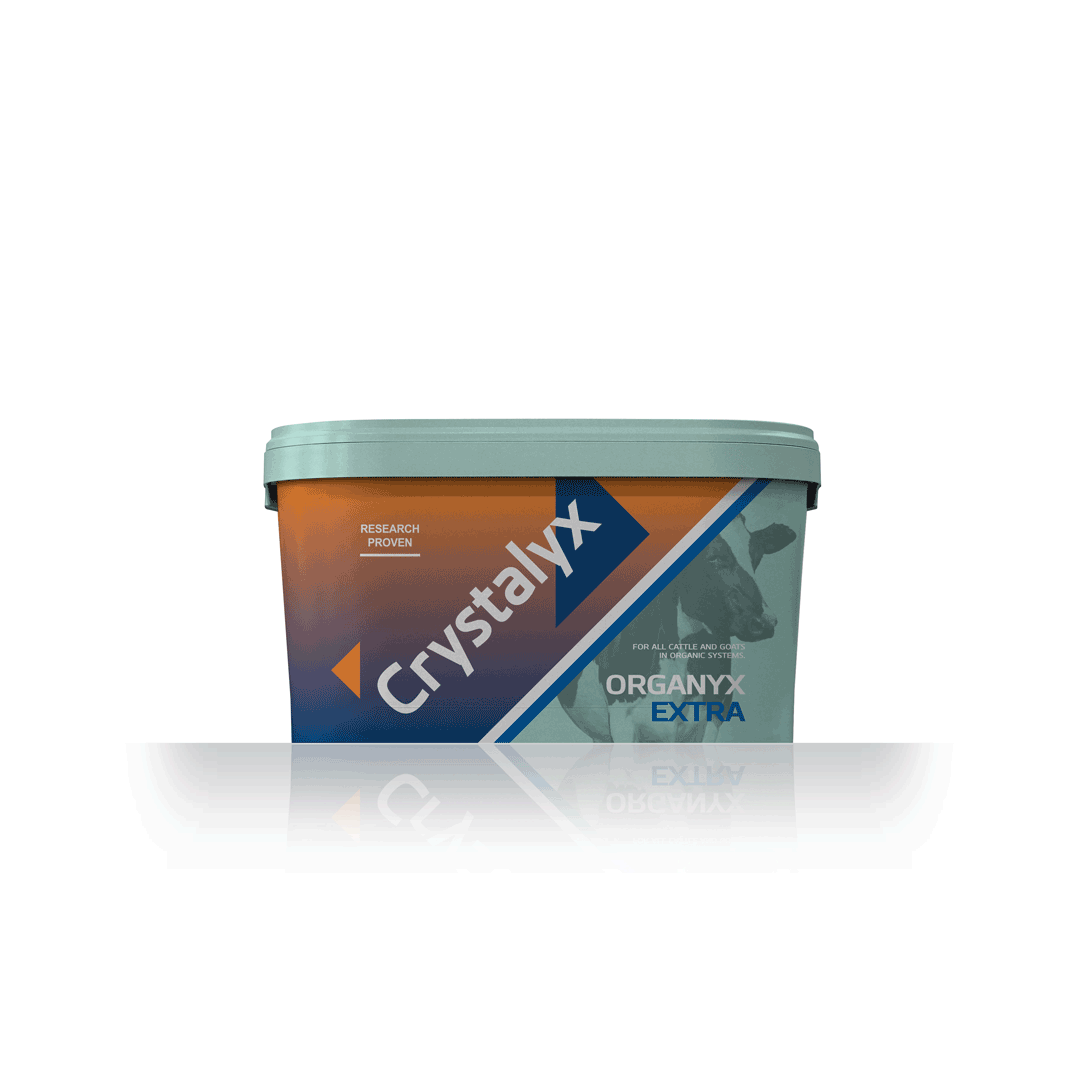 Crystalyx Organic Extra Molasses Block 22.5kg