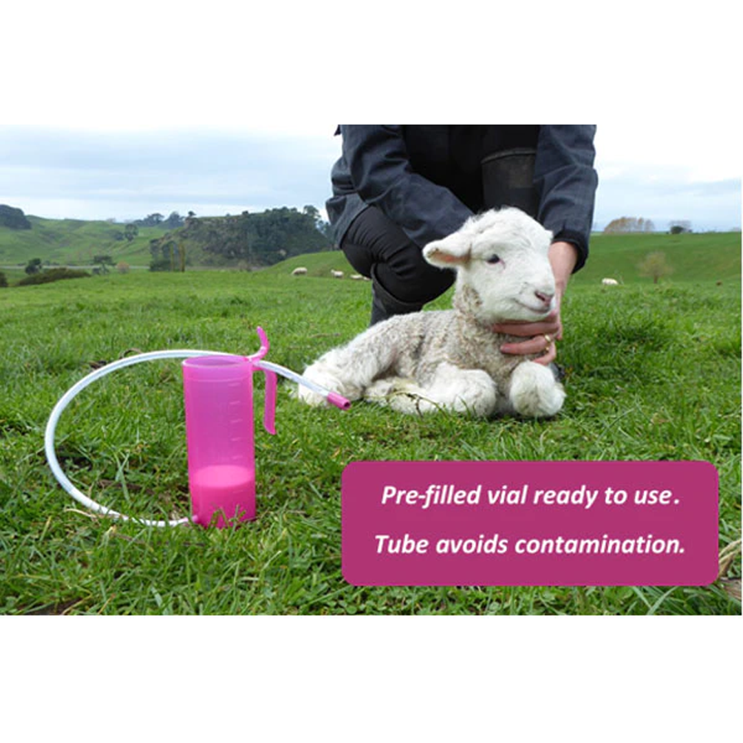 Antahi Trusti Tuber for Lambs Kid Goat