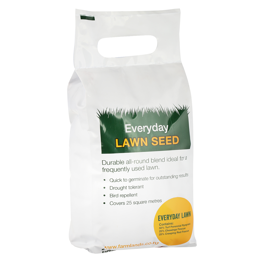 Everyday Home Lawn 1kg