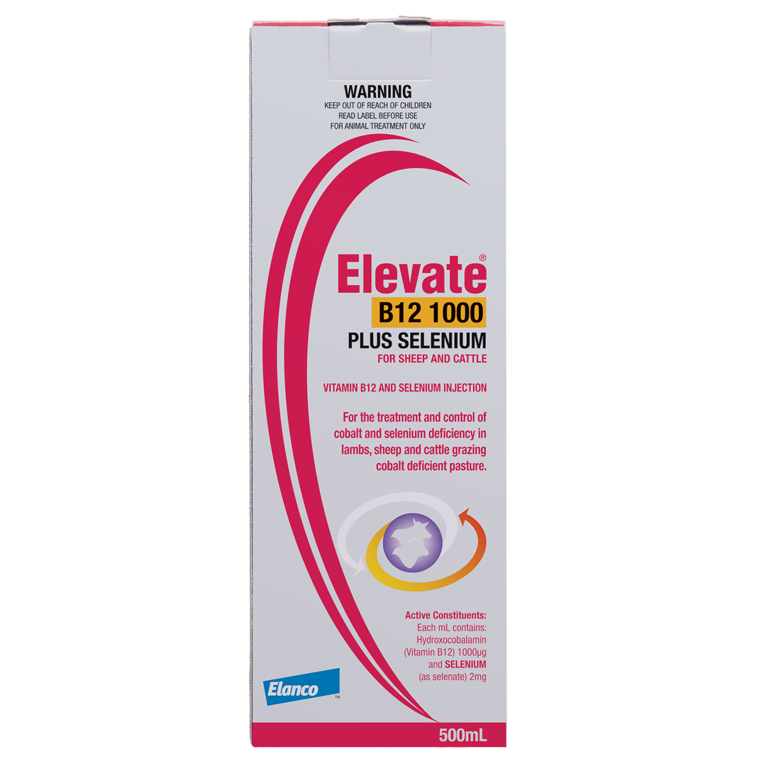Elevate B12 1000 Sel 500ml