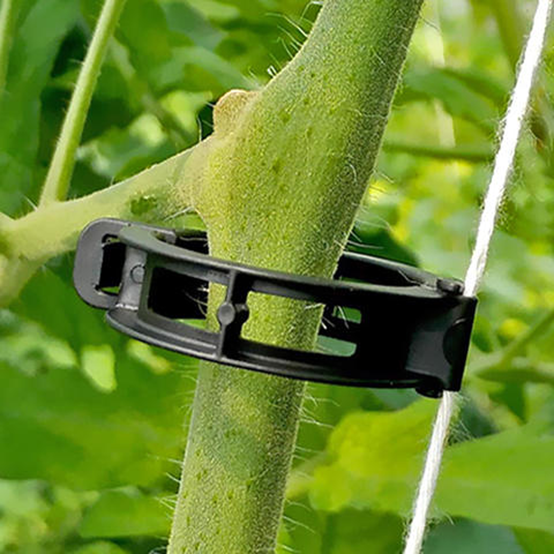 Araymond Easy Clip Biodegradable 7500pkt 26mm