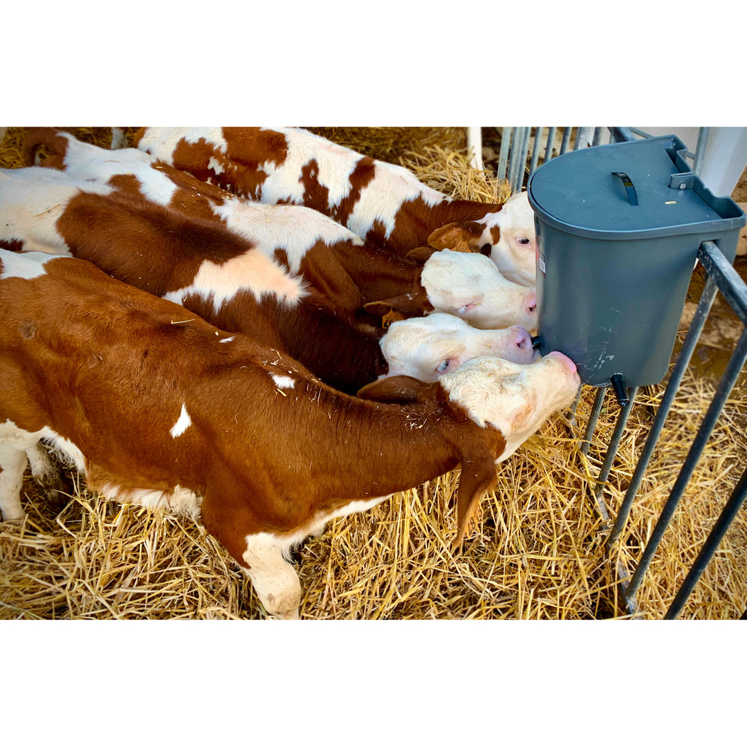 Milk Bar Calf Feeder 5
