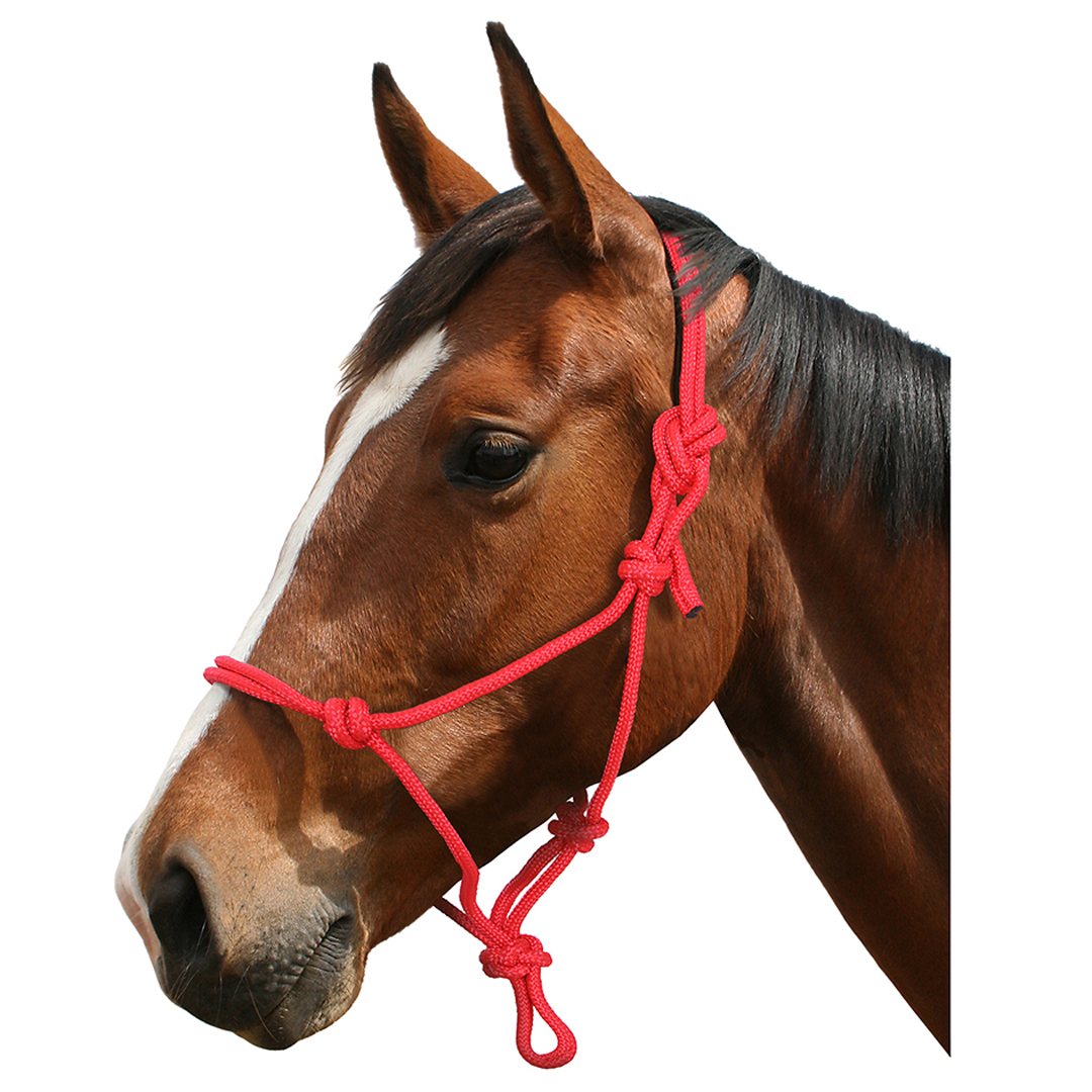 Arion Blue Tag Rope Halter