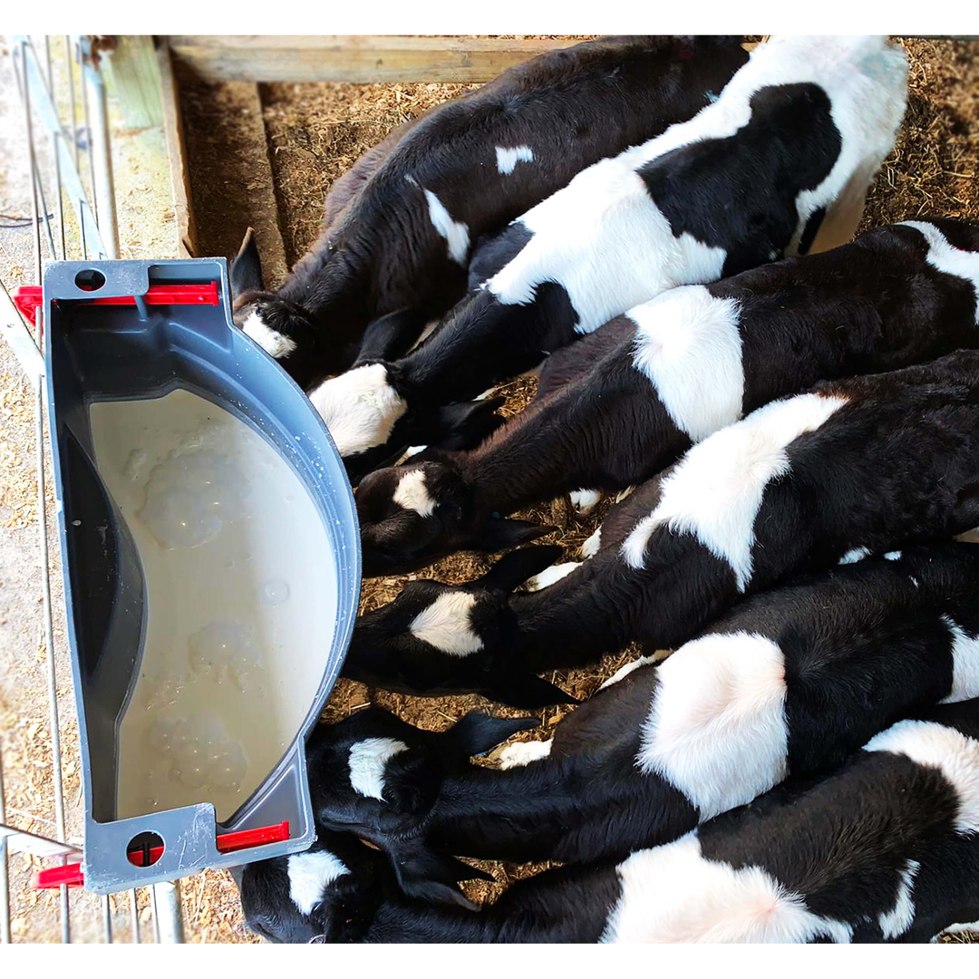 Milk Bar Calf Feeder 6