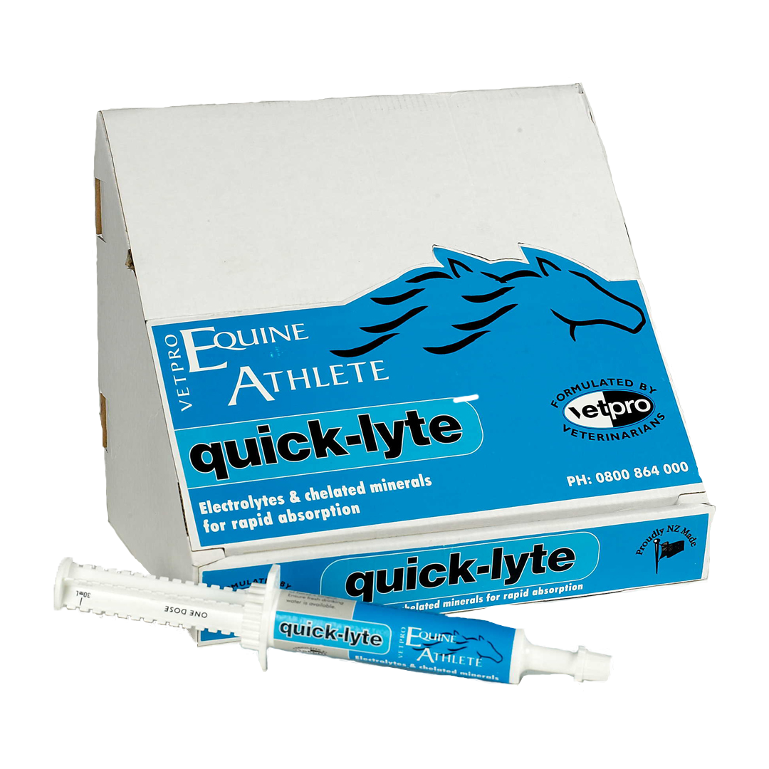 Vetpro Quicklyte Paste 30mls