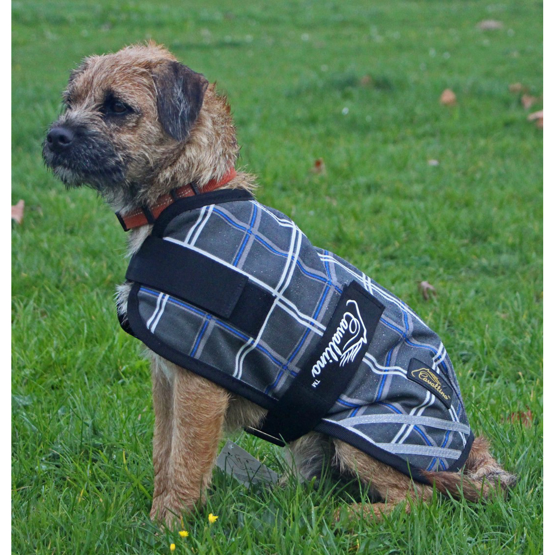 Cavallino Badminton Dog Coat 1200D