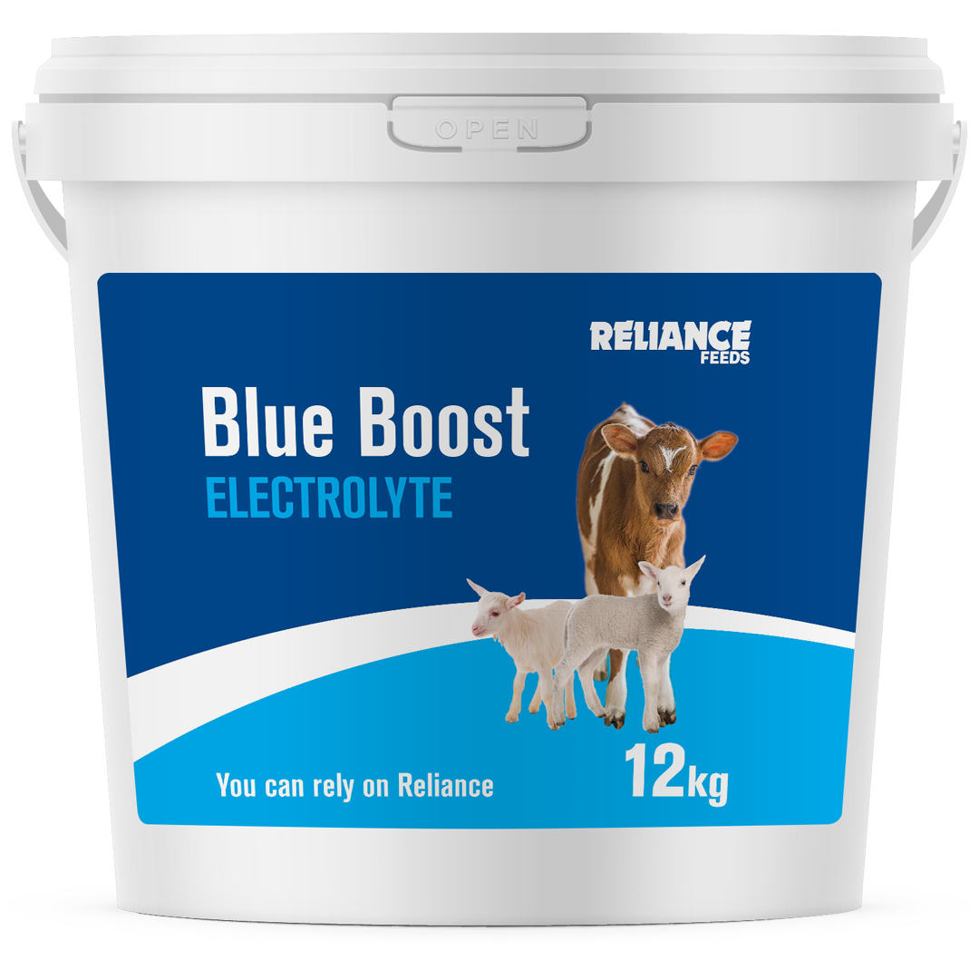 Reliance Blue Boost Electrolyte 12kg