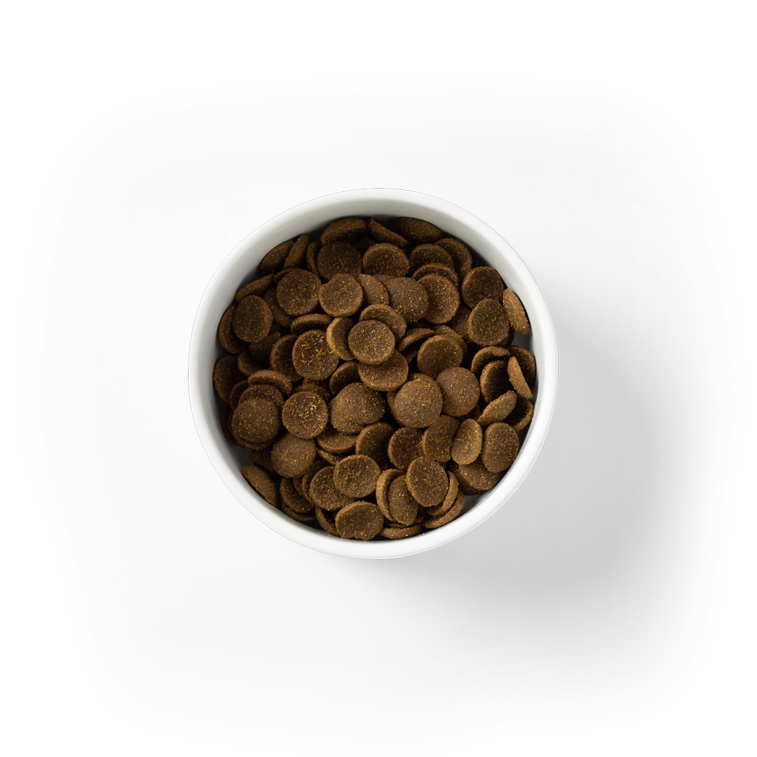 Savourlife Essentials Large Breed 15kg