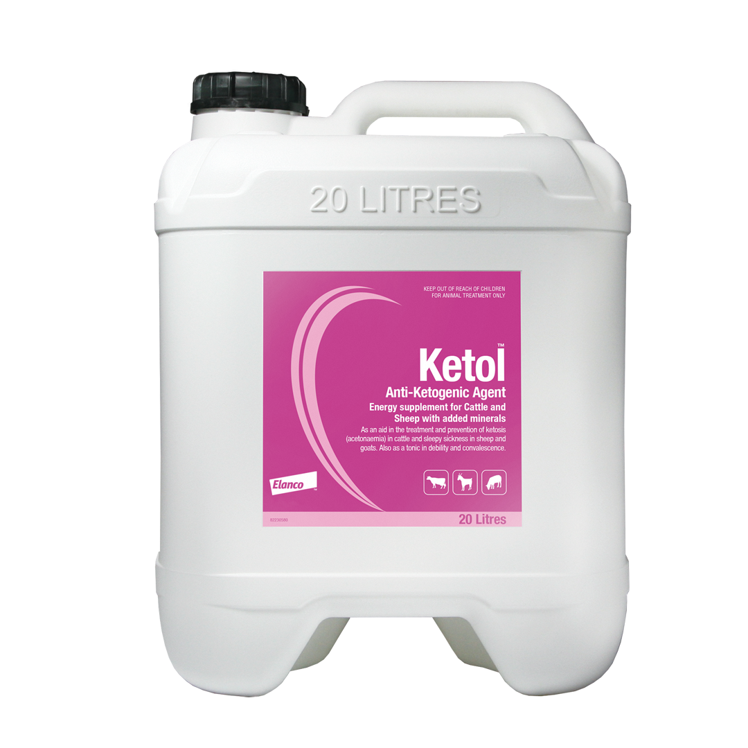Ketol 20L