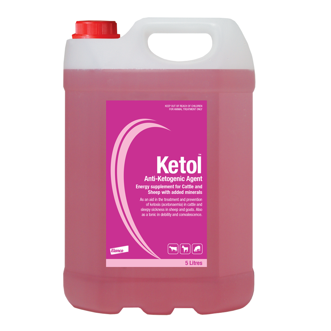 Ketol 5L
