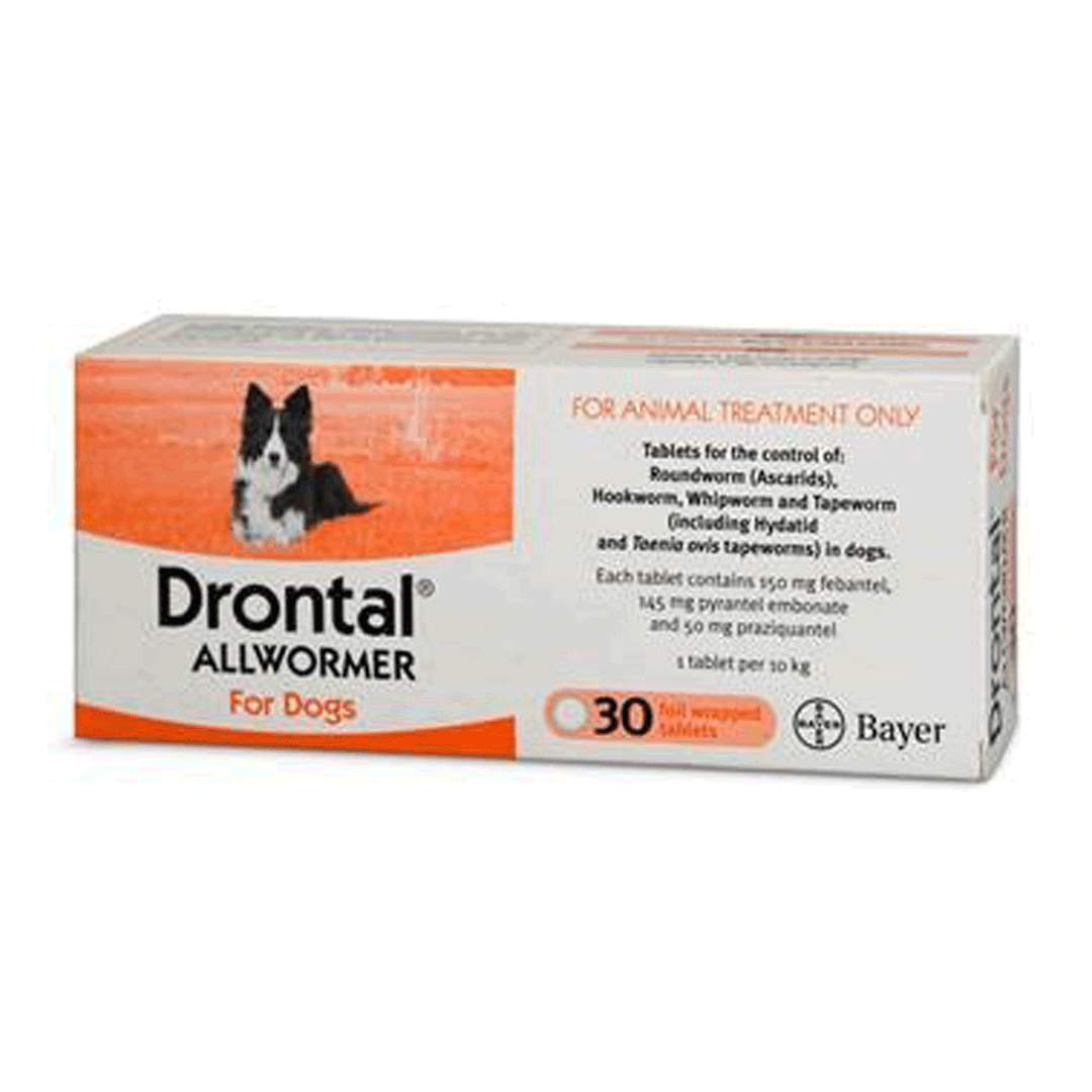 Drontal Plus Dog Worming Tablets 30 Packet