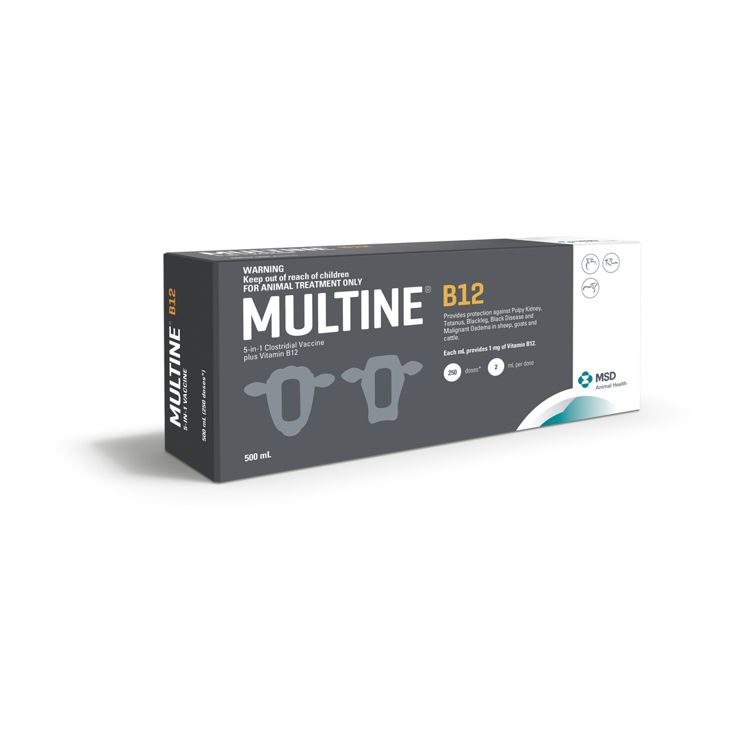 Multine B12 Vaccine 500ml