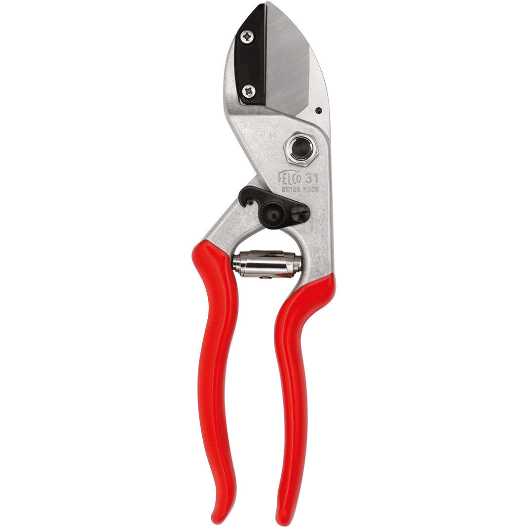 Felco 31 Secateur Anvil Straight 210mm LG