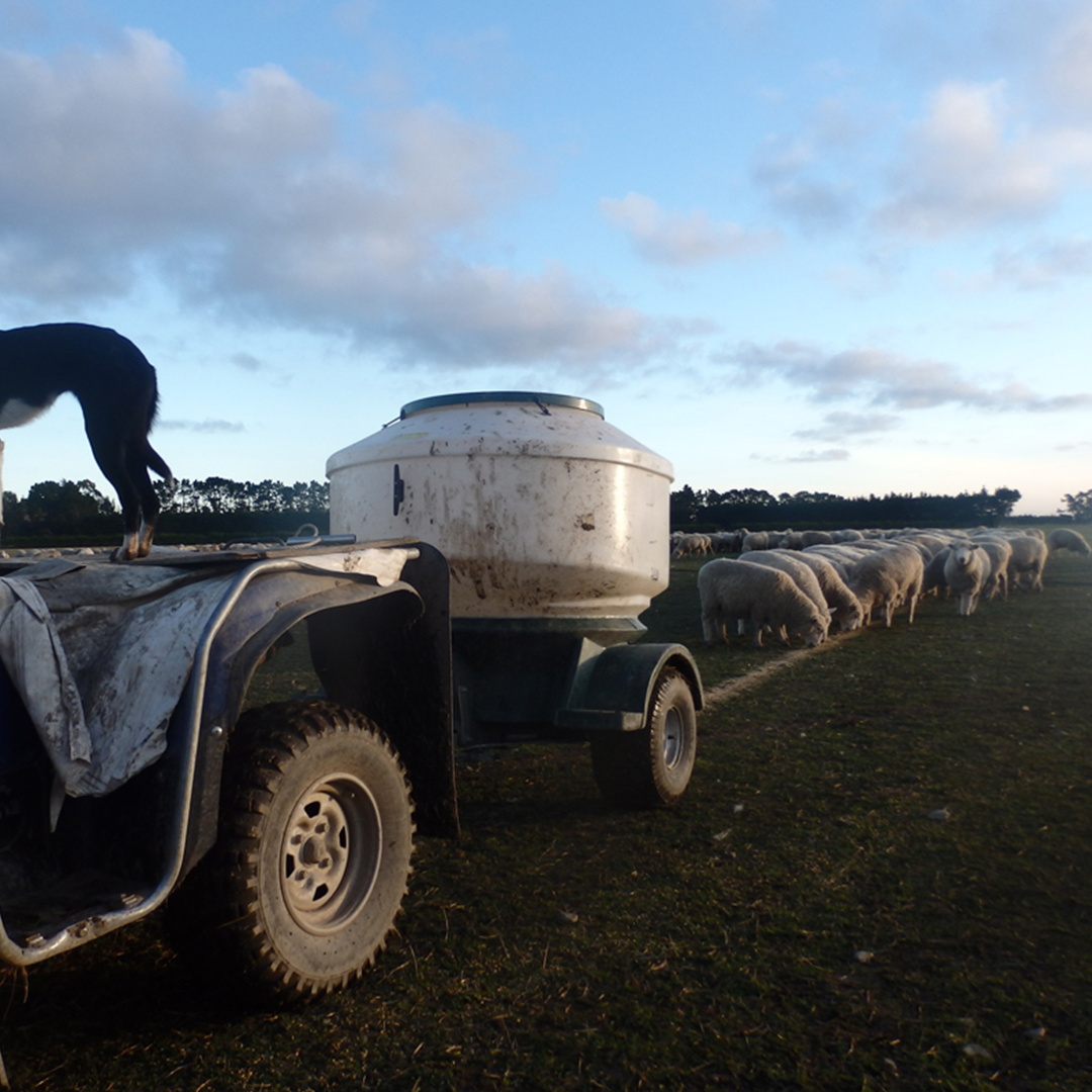 Advantage Plastics Hunga Busta Grain Feeder Trailer