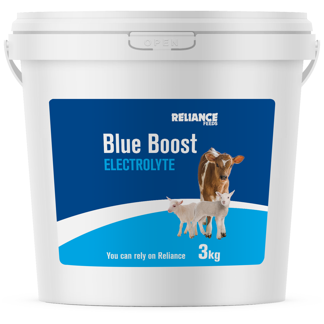 Reliance Blue Boost Electrolyte 3kg