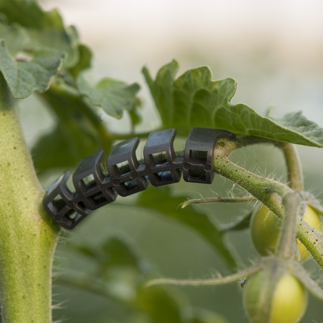 Araymond Flex Truss Polypropylene Truss Support 19000pkt BK