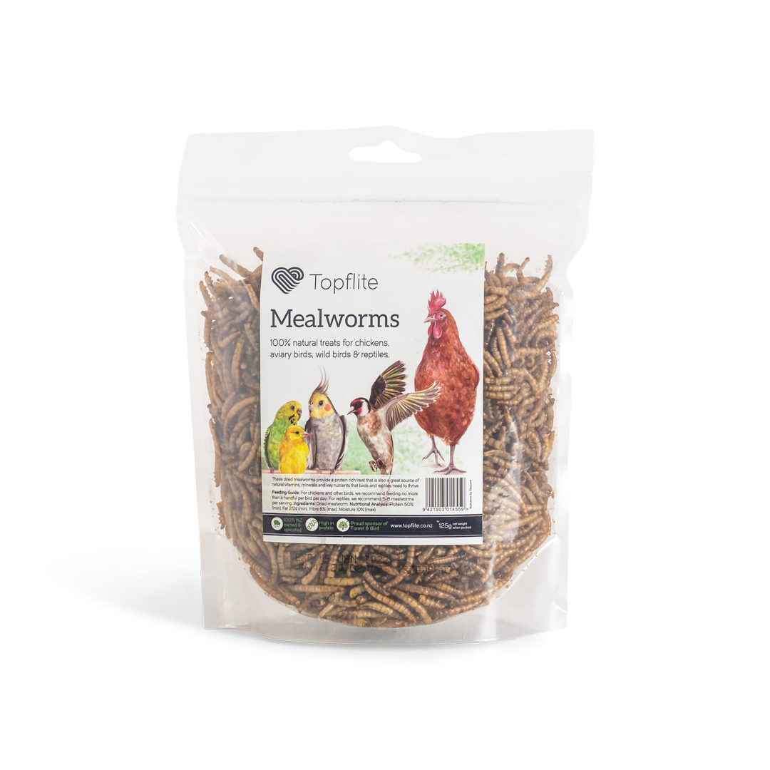 Topflite Dried Meal Worms 125g