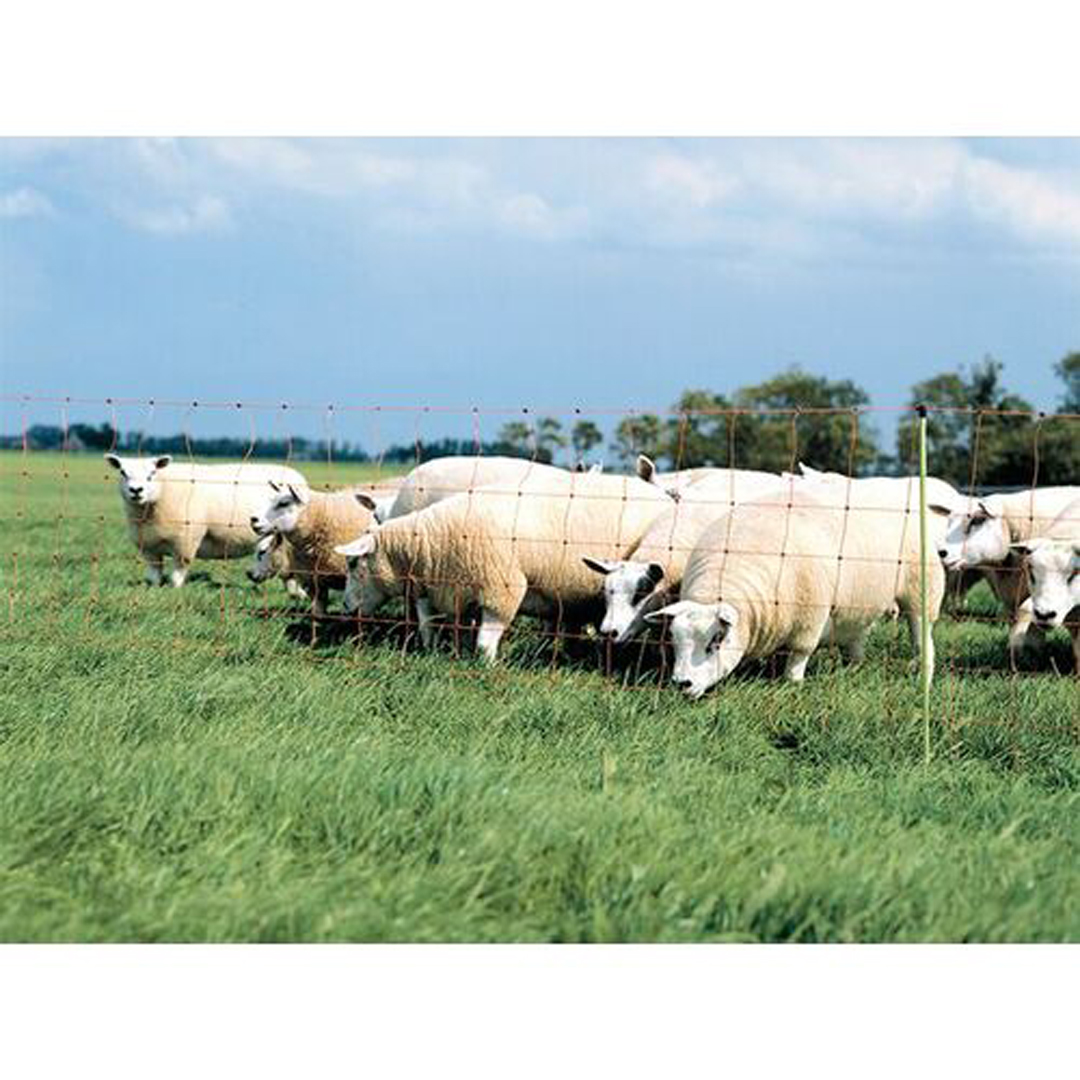 Gallagher Electric Sheep and Goat Netting 90cmx50m
