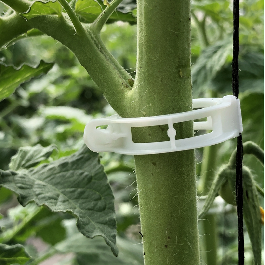 Araymond Easy Clip Biodegradable 7500pkt 26mm